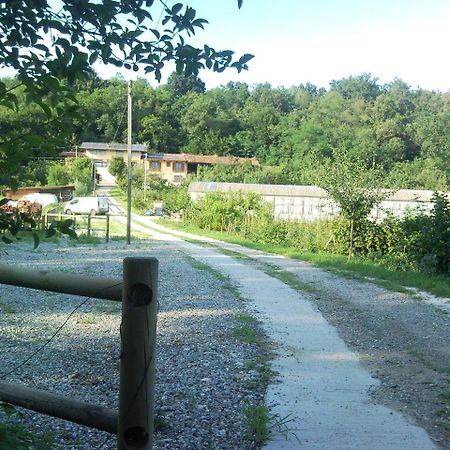 La Bedina Villa Rivara Kültér fotó